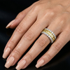 Yellow Crown Band