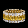 Yellow Crown Band