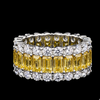 Yellow Crown Band
